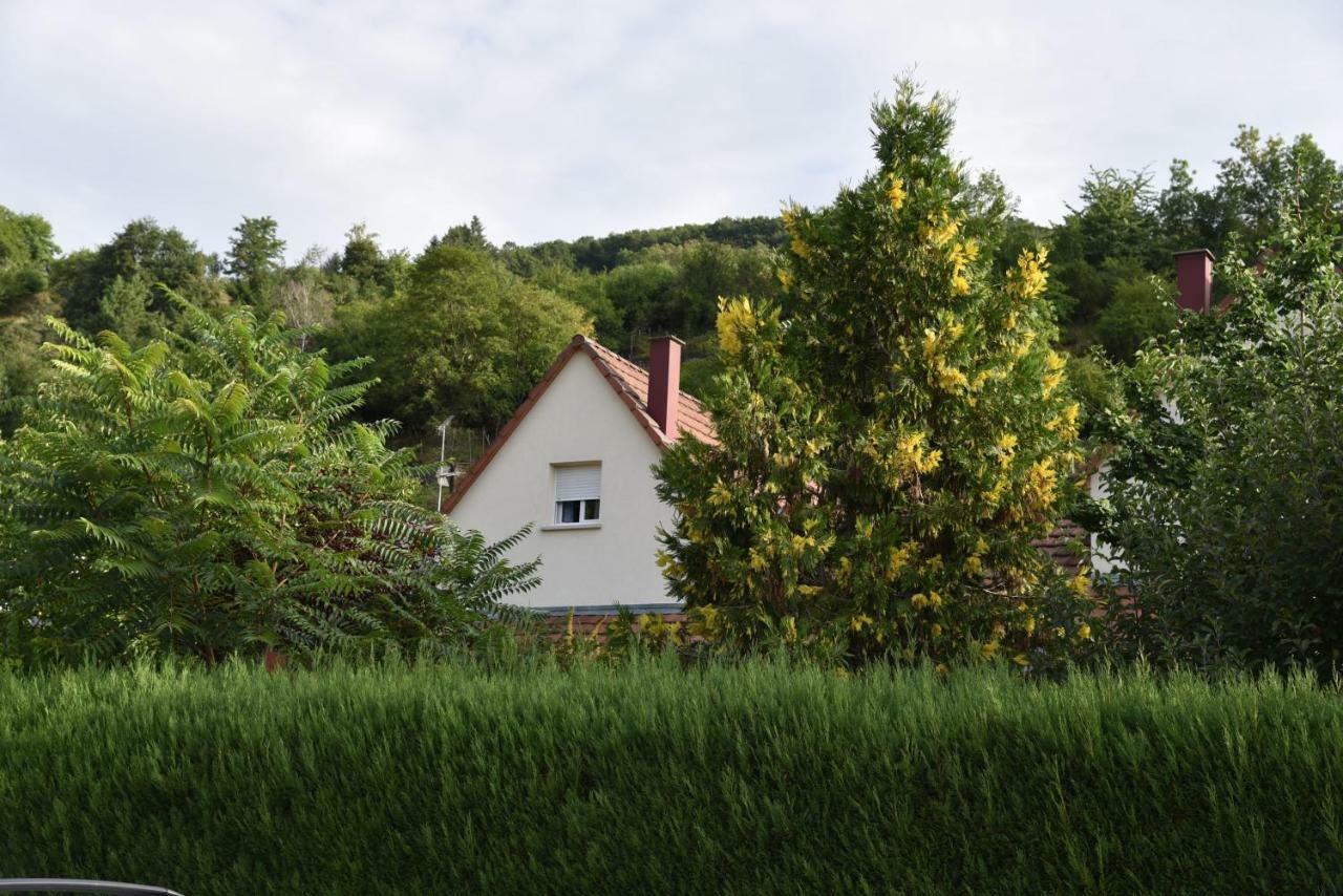 Villa Le Cerisier Kaysersberg-Vignoble Exterior foto